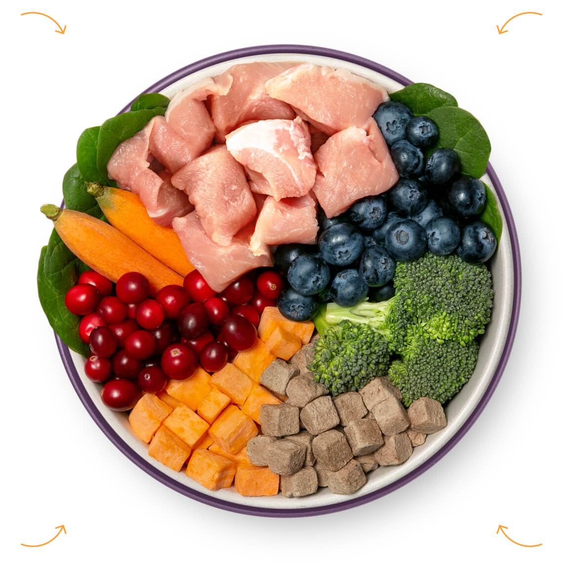 Ultimate Pet Nutrition Nutra Complete as-mixer usage demonstrates flexible feeding options