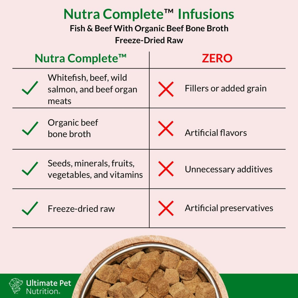 Dog enjoying Nutra Complete Infusions meal topper in a bowl
