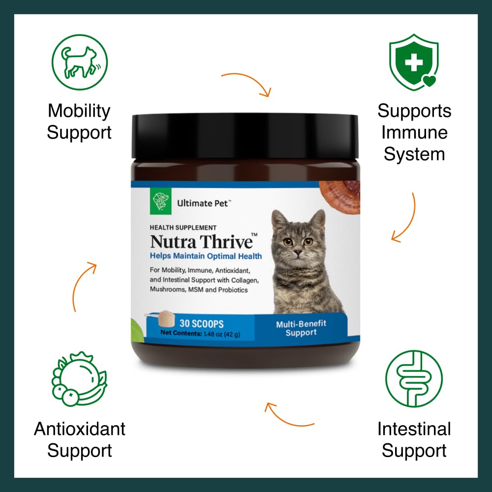 Nutra Thrive cat mobility joint-support image shows powder blending with meals for active cats.