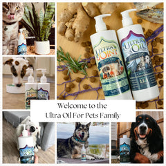 Ultra Joint bottle-pour shot highlighting easy administration for pet owners.
