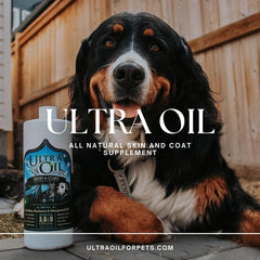 Ultra Oil omega blend bottle image for dogs and cats joint comfort.