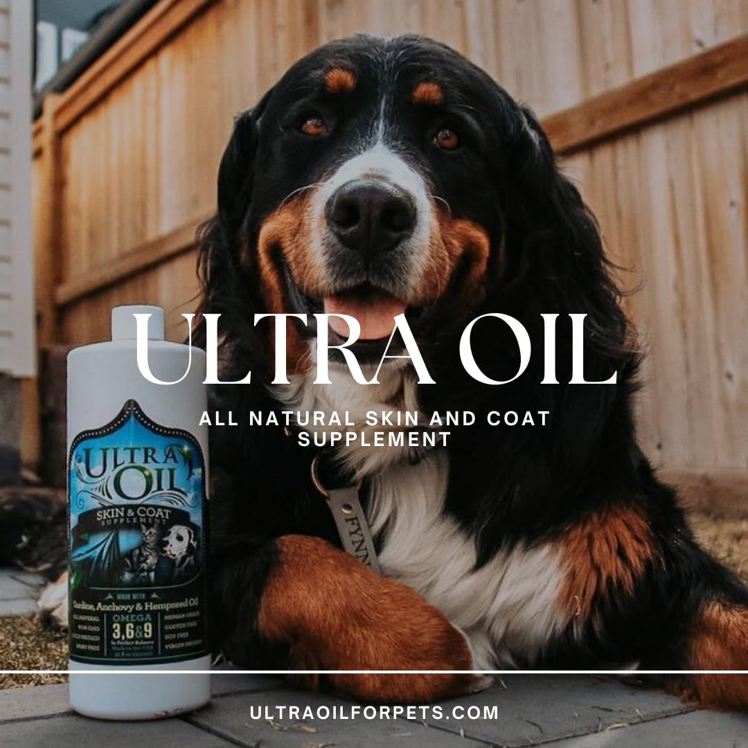Ultra Oil Skin & Coat dog-coat-shine highlights a glossy coat with regular use.