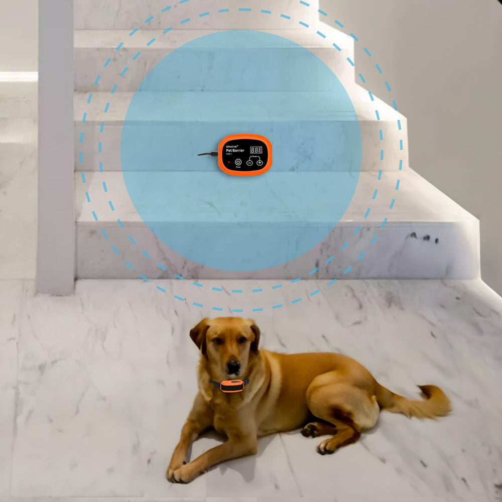 UltraCrab dog fence receiver aids boundary training and zone safety.