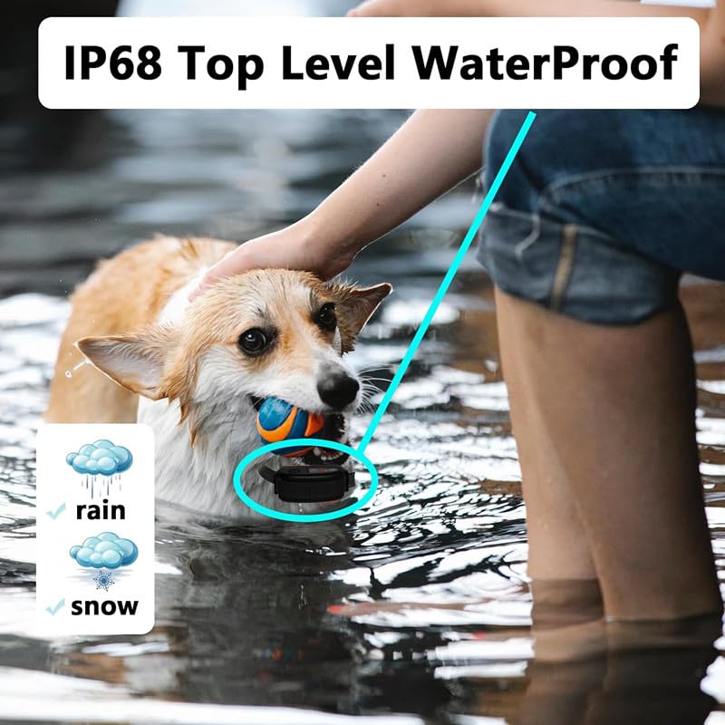 Ultracrab dogs using beep and static corrector at home.