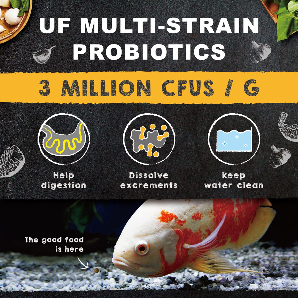 Ultra Fresh color-enhancement shot shows natural coloration in tropical fish.