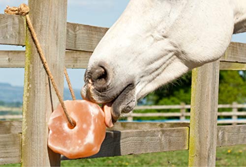 UMAID Himalayan salt lick rope for deer providing natural mineral intake