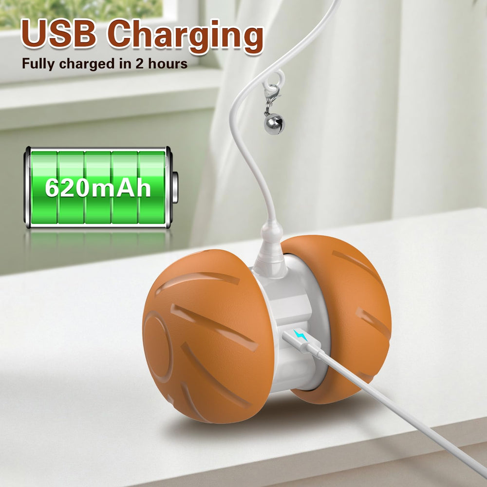 umosis replacement feathers included for continuous chasing entertainment.