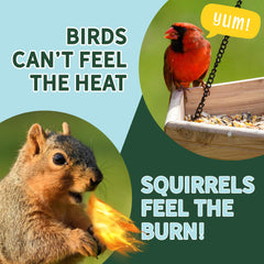 Uncle Dunkels deterrent on a feeder helps repel squirrels