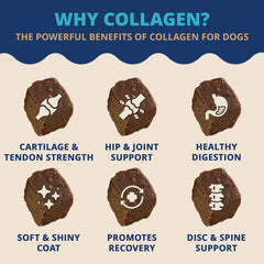 Under the Weather collagen chews in a dog bowl for easy daily use