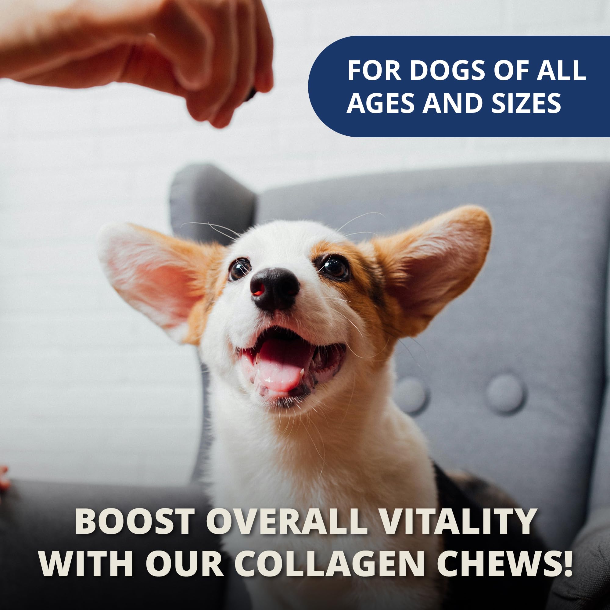 Under the Weather collagen chews recyclable packaging signals eco friendly choice