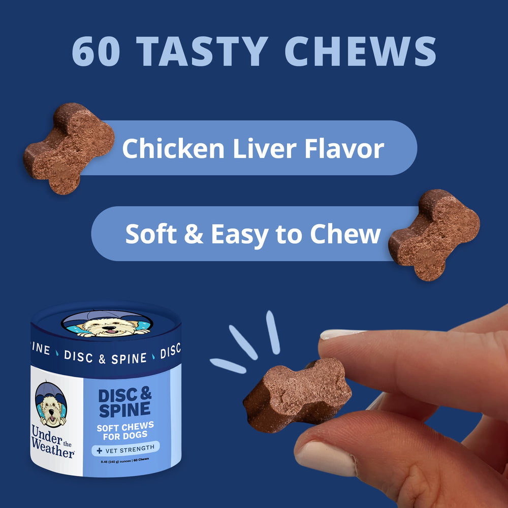 Under the Weather disc-spine-chews closeup highlights chondroitin, MSM, turmeric for joint health.