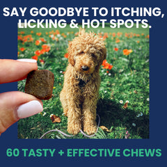 Under the Weather dog allergy chews with omega-3s for dry skin and a softer coat.