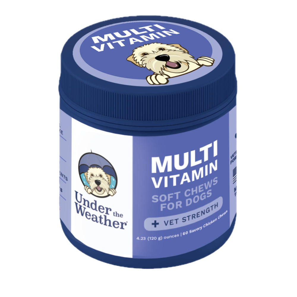 Under the Weather dog multivitamin chews soft squares for daily immunity and energy support.