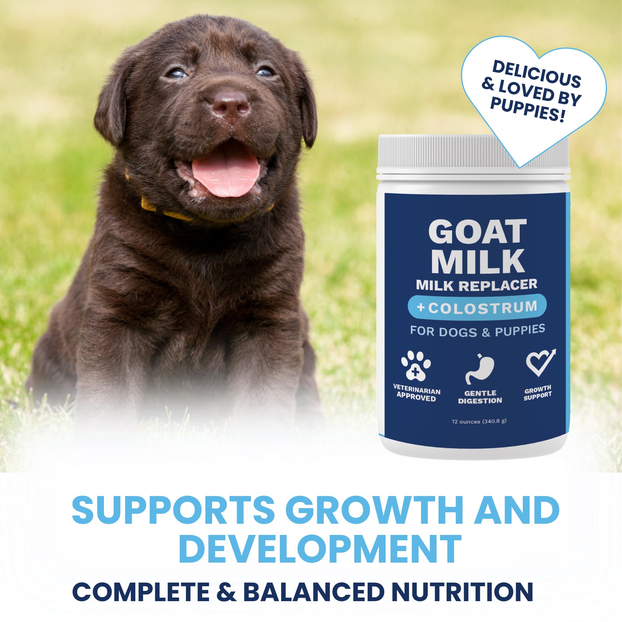 Under the Weather goat milk powder for dogs supports gentle digestion and nutrient absorption.