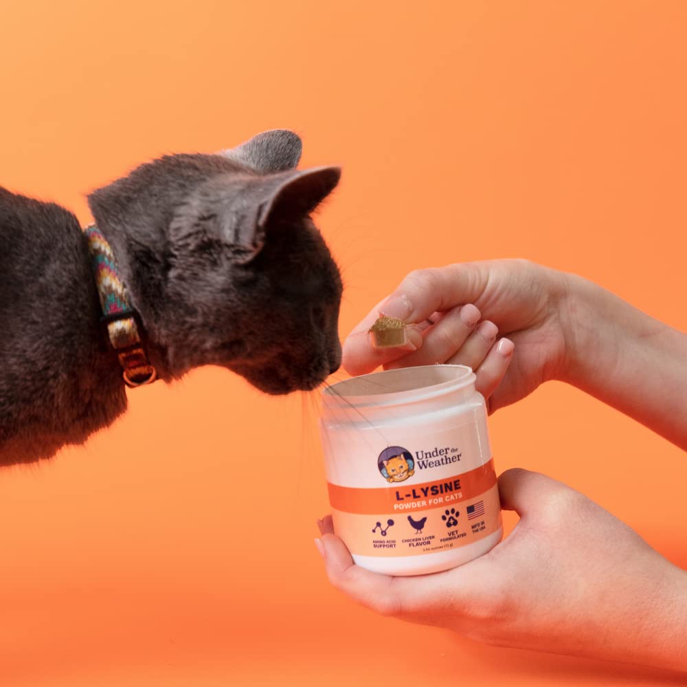 Under The Weather L-Lysine Powder being sprinkled on food for routine use