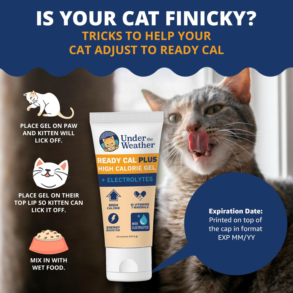 Under the Weather omega-3-6 graphic illustrates essential nutrients for feline wellness.