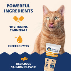 Under the Weather paw application image shows easy lick-to-feed for cats.