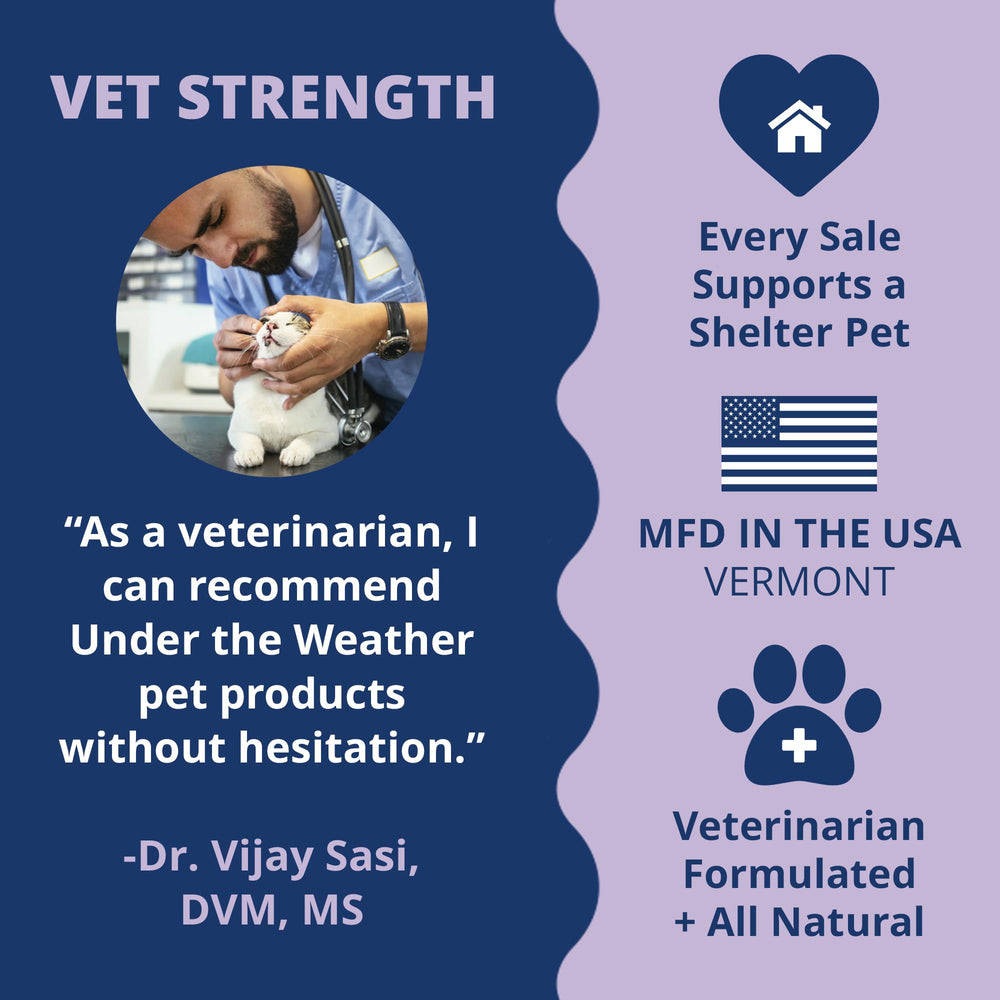 Under the Weather PB CHILL for dogs of all ages suits everyday calm and bonding.