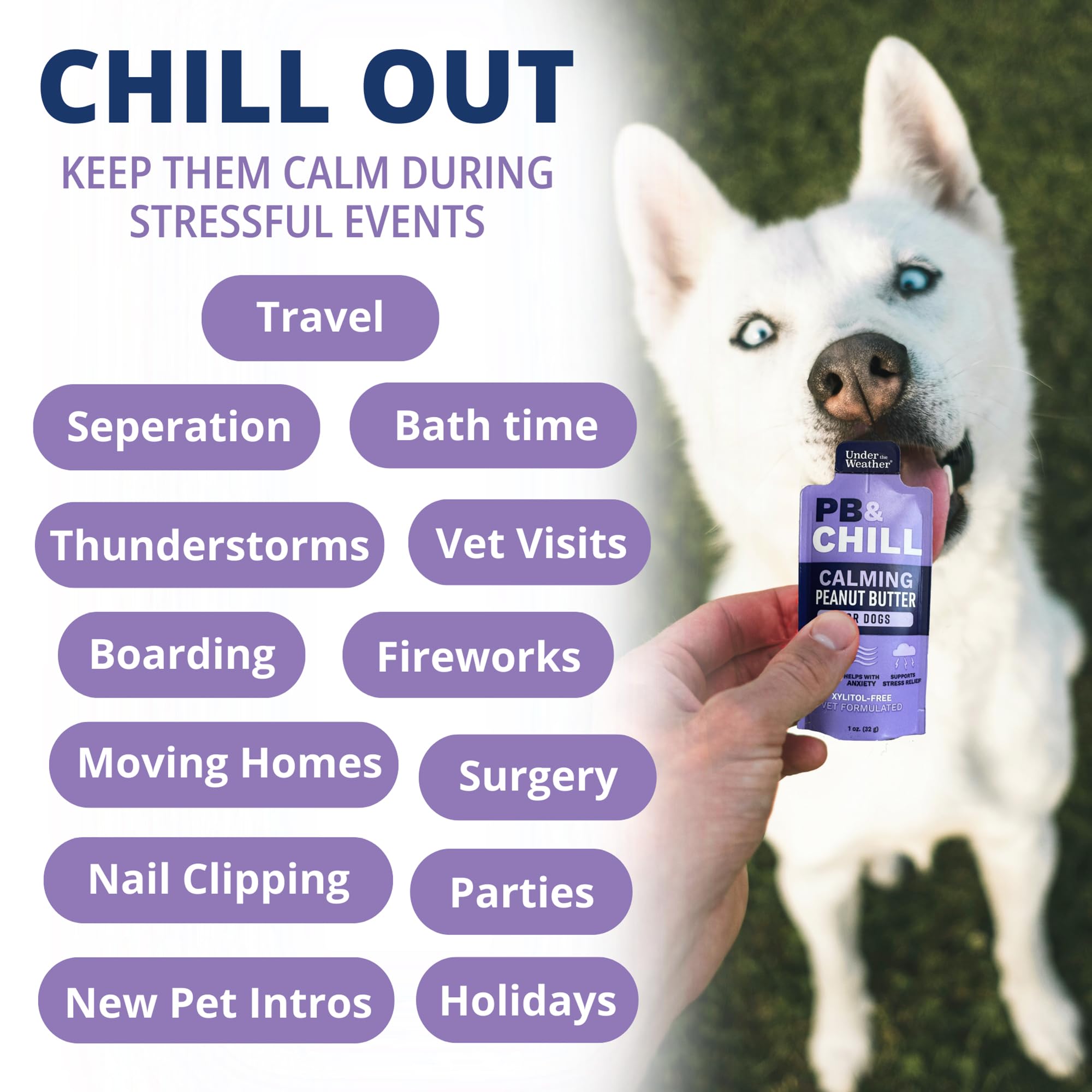 Under the Weather PB CHILL xylitol-free label signals safe, sugar-free calming rewards.