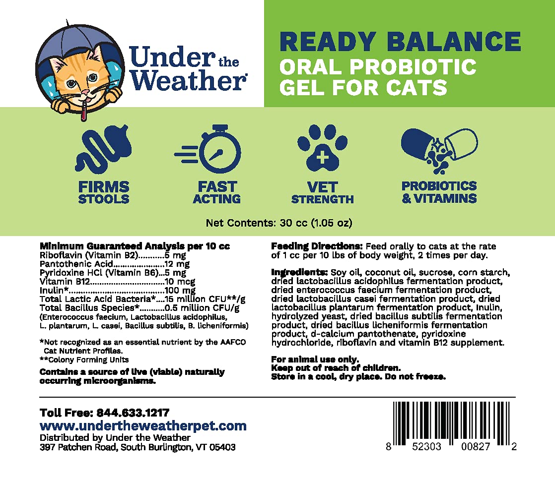 Under the Weather Pet Ready Balance gel-texture close-up: palatable coconut flavor aids acceptance.