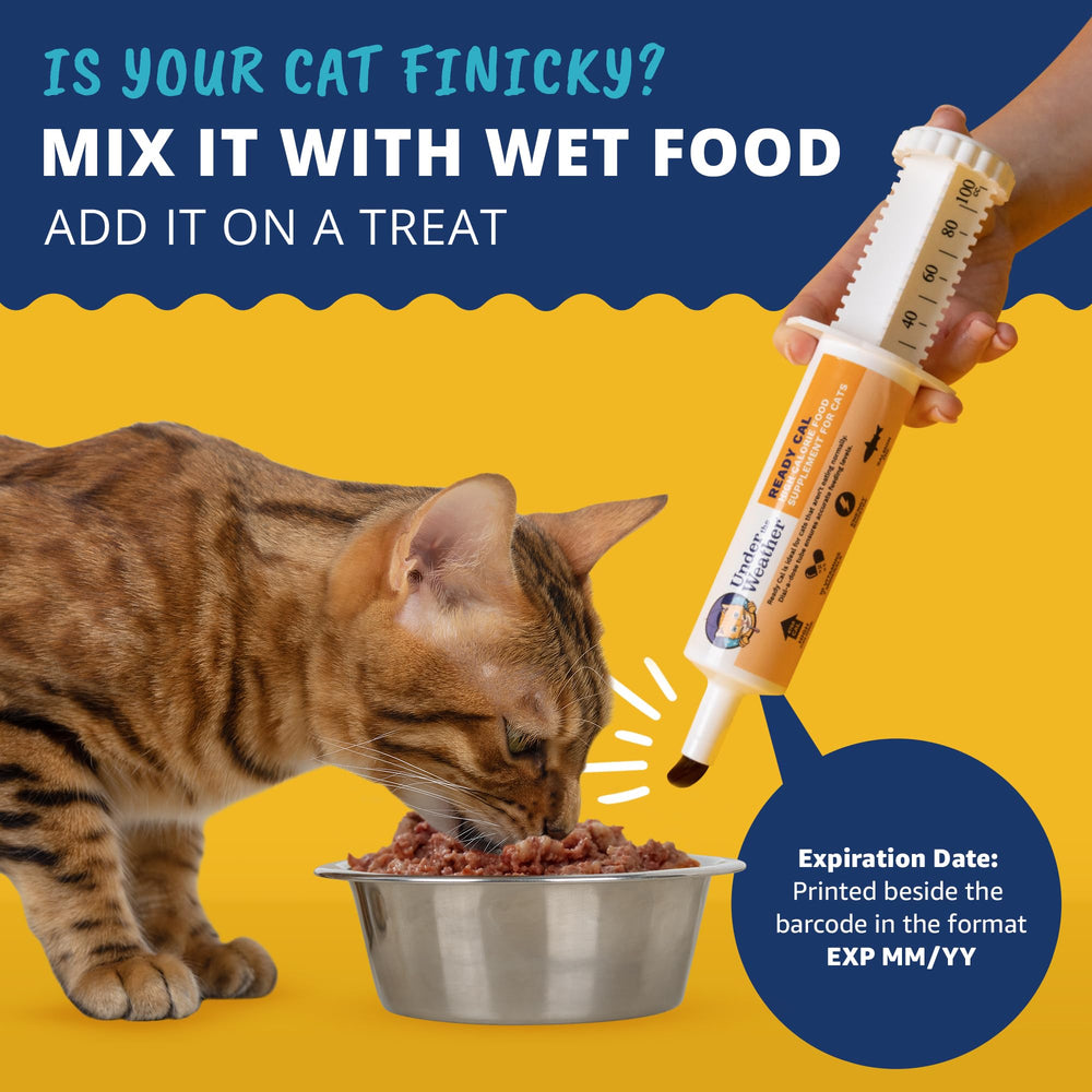 Under The Weather Ready Cal serving-dispense demonstrates easy portioning for feline meals