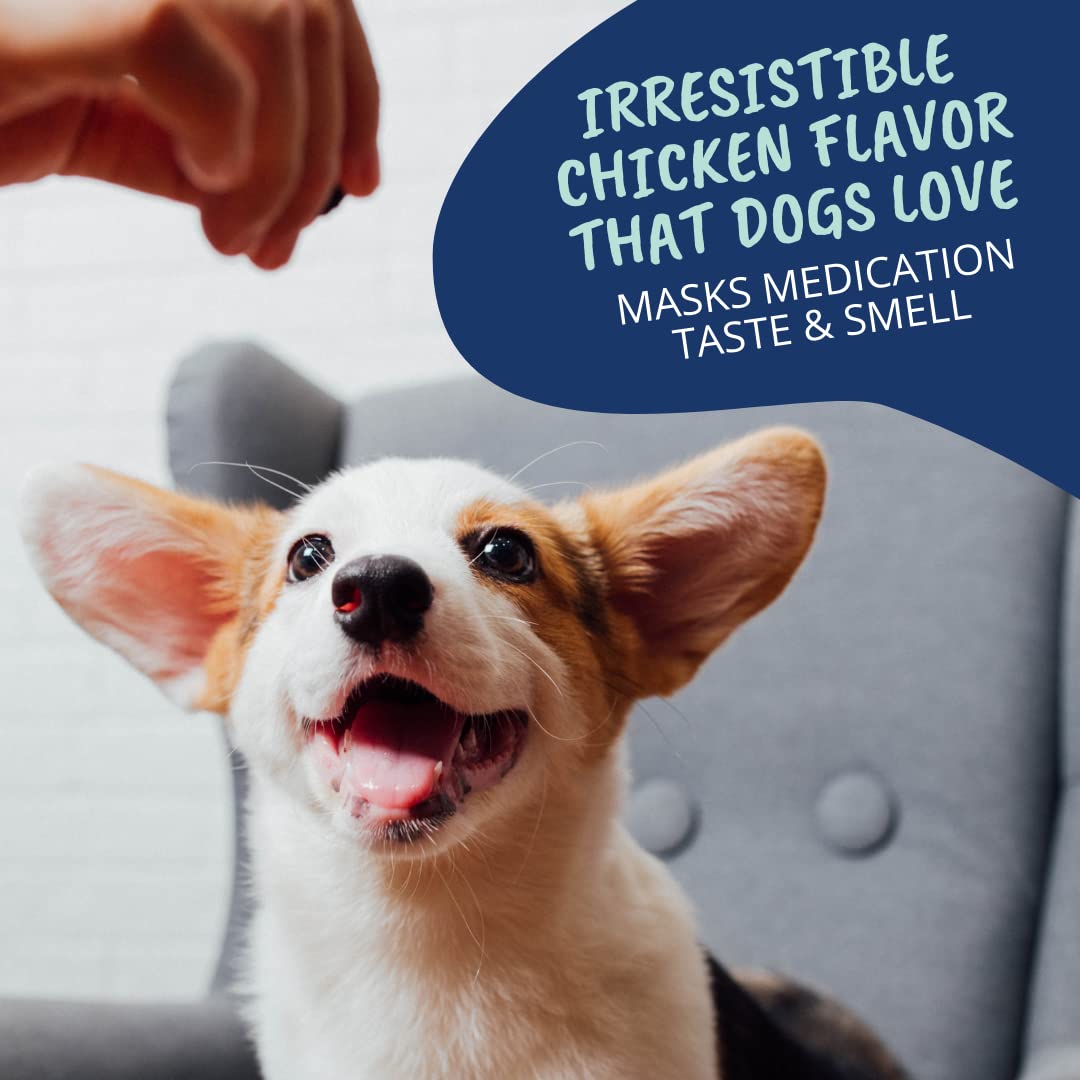 Under the Weather Pill Wrap dog enjoying pill time as stress-free routine.