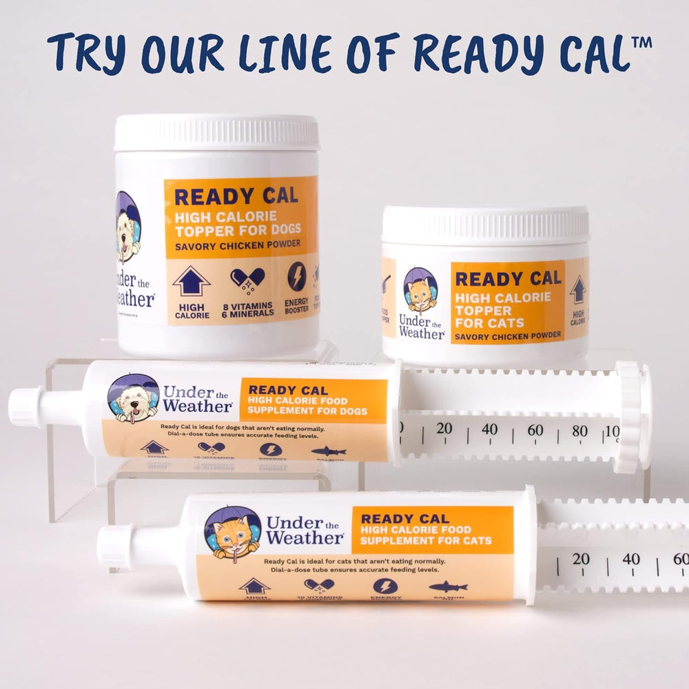 Under the Weather Ready Cal powder shown after feeding with a content cat