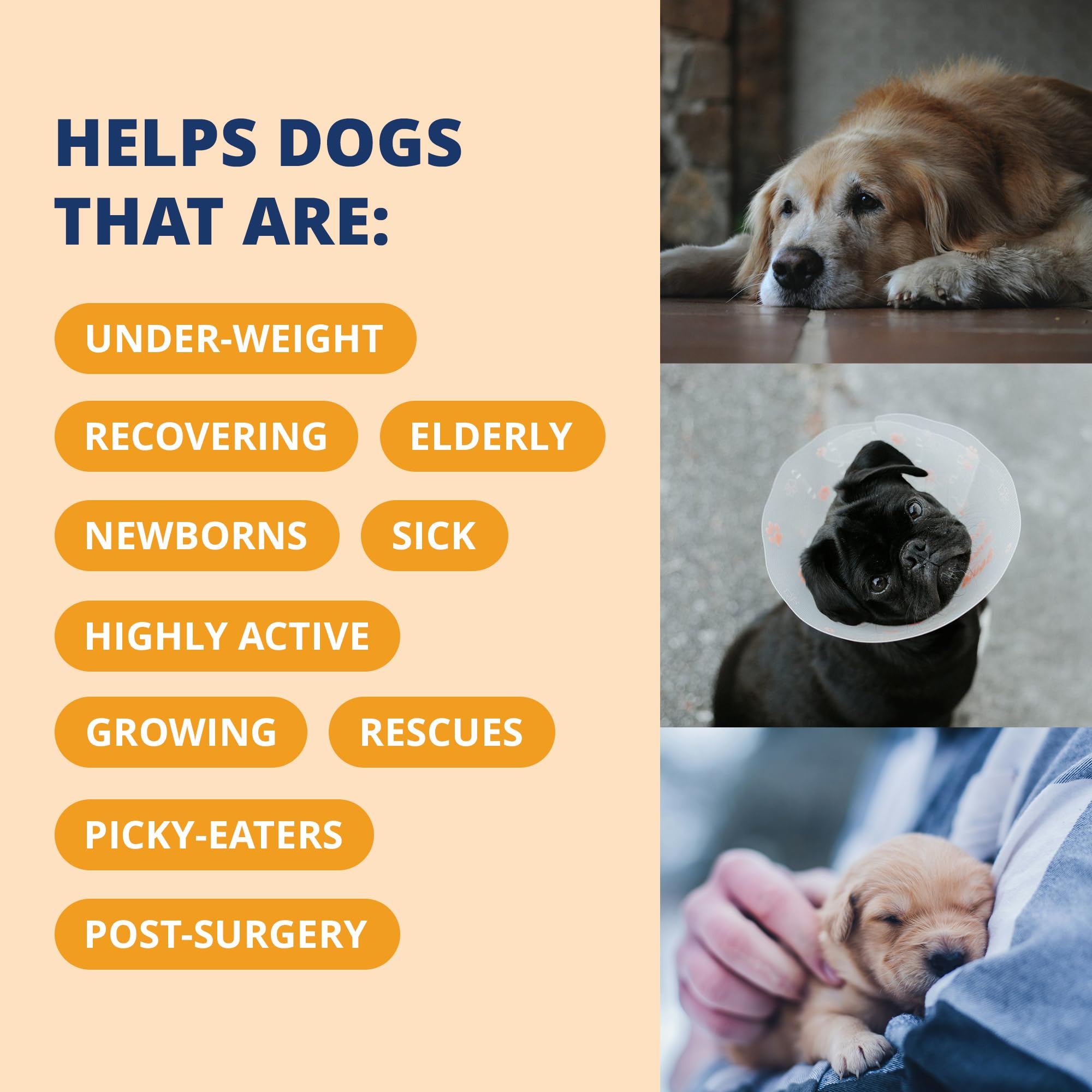 Under the Weather Ready Cal Plus Gel packaging—US-made, veterinarian-approved nutrition for dogs and puppies.