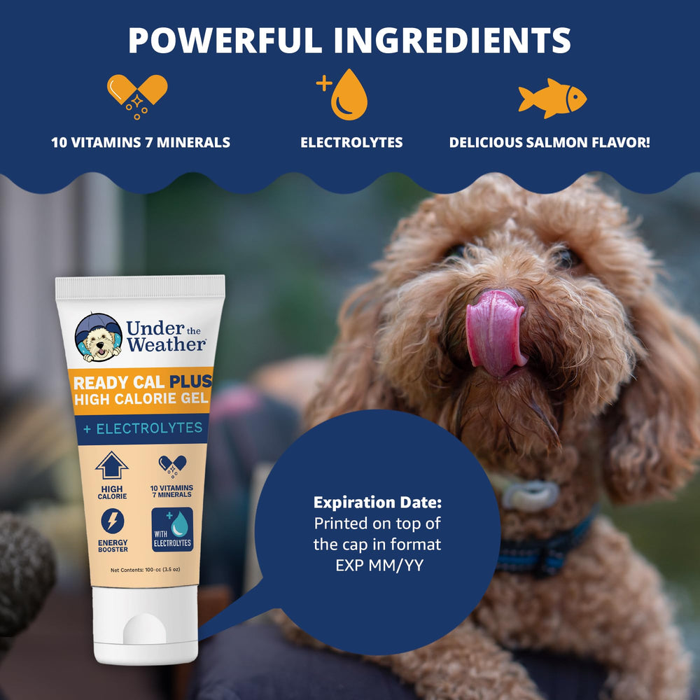Under the Weather Ready Cal Plus Gel—paw-lick scene shows mess-free squeeze for busy owners.