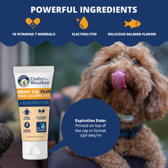 Under the Weather Ready Cal Plus Gel—paw-lick scene shows mess-free squeeze for busy owners.