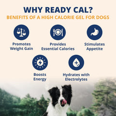 Under the Weather Ready Cal Plus Gel salmon flavor—serving to aid appetite and hydration.