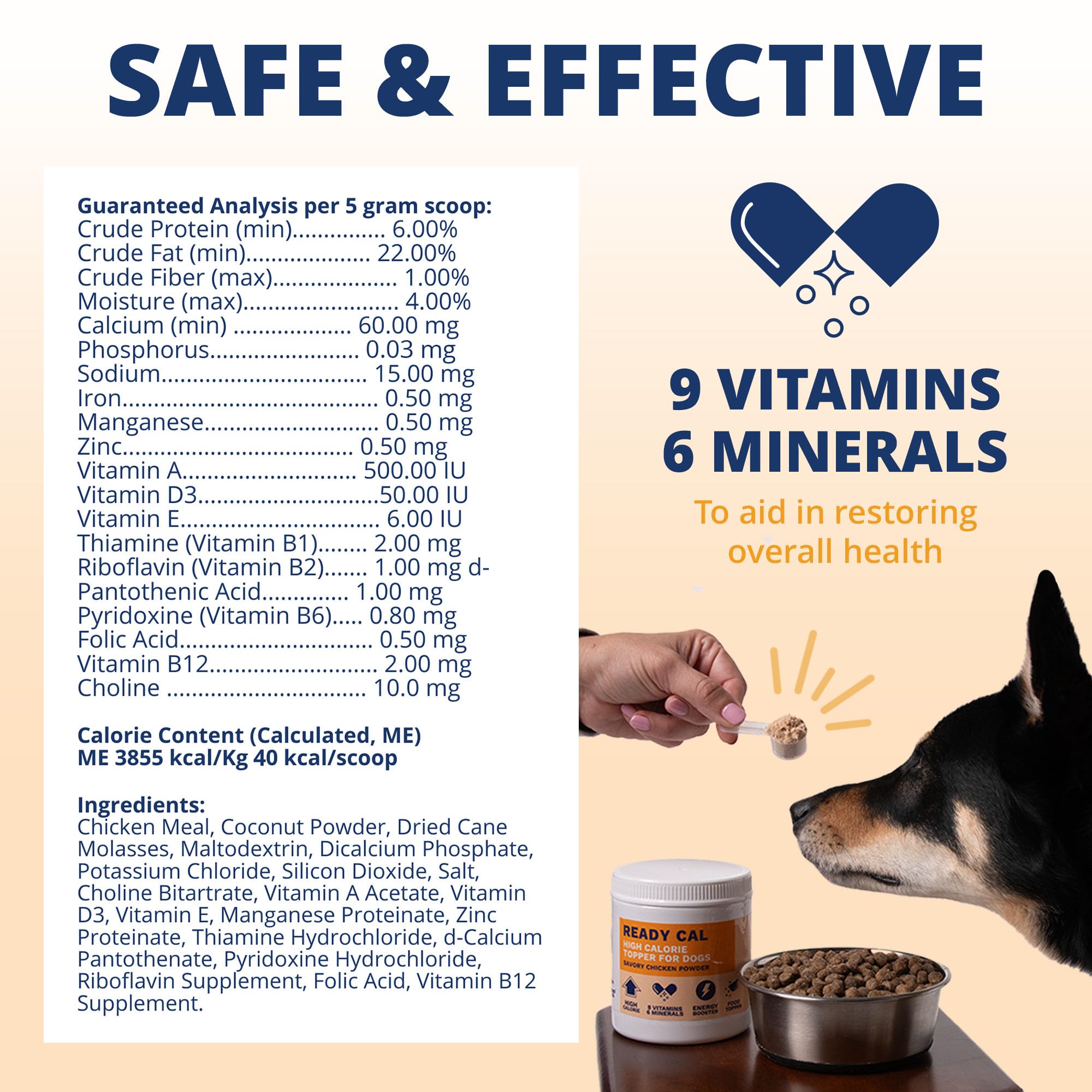 Under the Weather Ready Cal powder dog-energy-boost in action