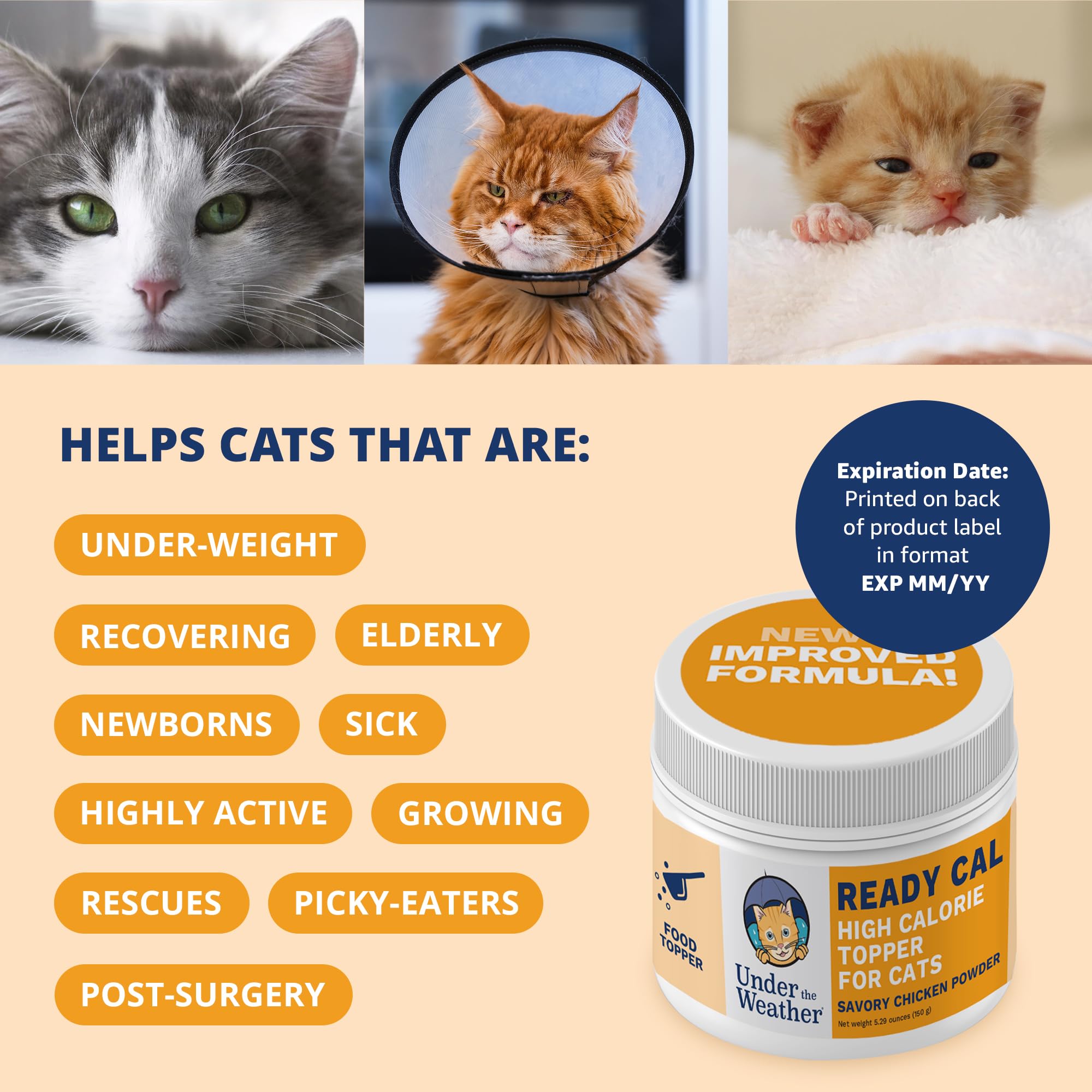 Under the Weather Ready Cal powder being mixed into cat food for appetite support