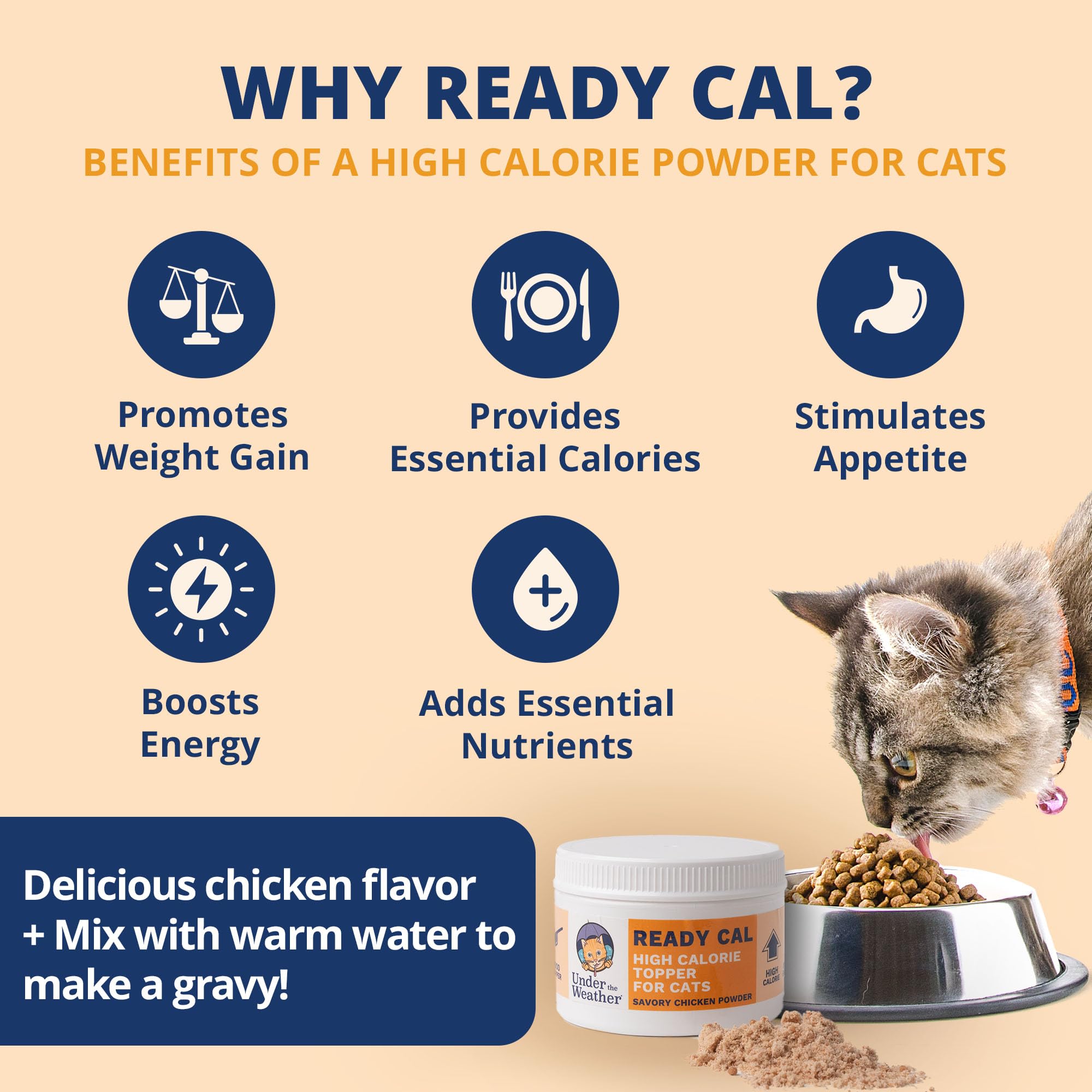 Under the Weather Ready Cal packaging front highlighting vet-formulated nutrition for cats