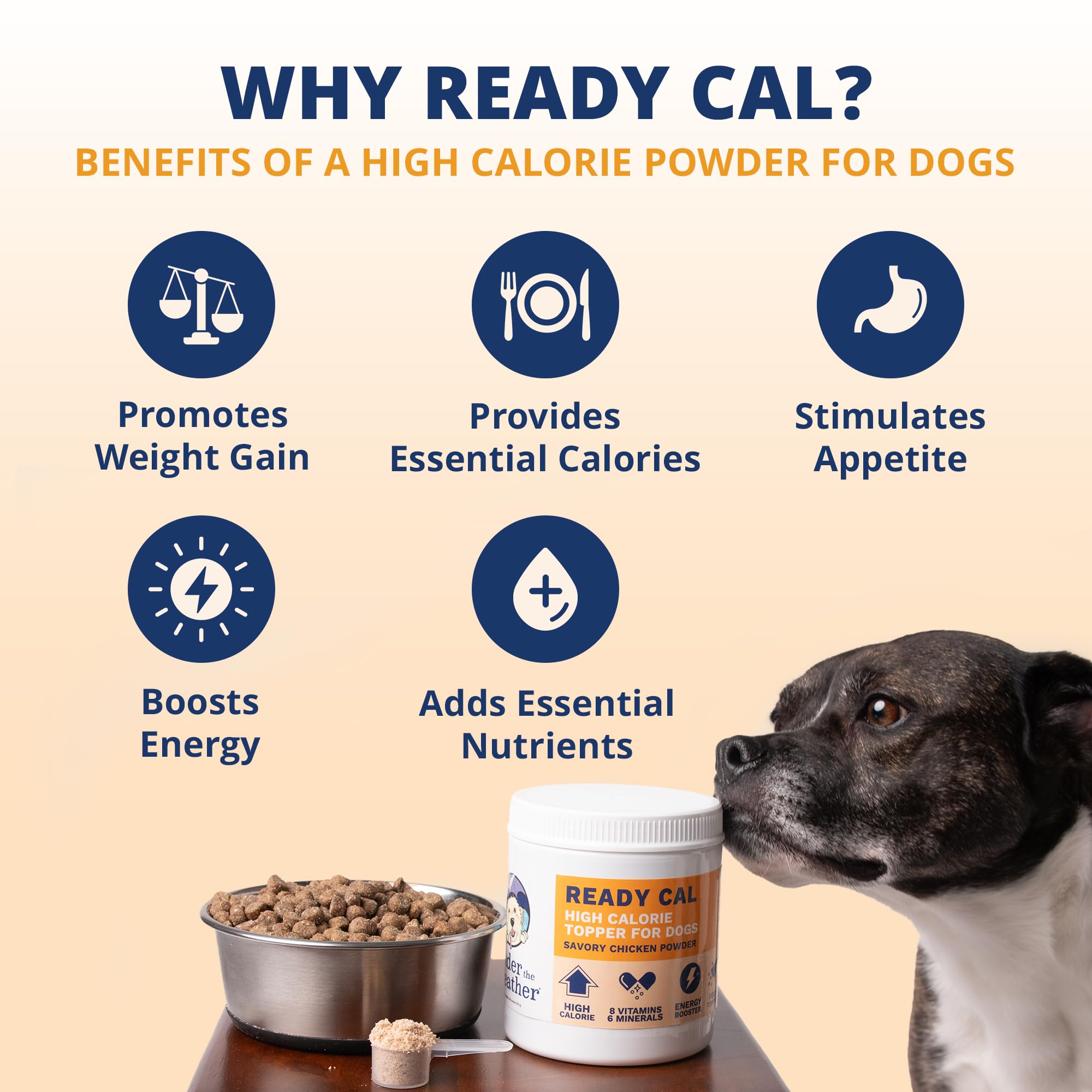 Under the Weather Ready Cal scoop beside powder for measuring daily calories
