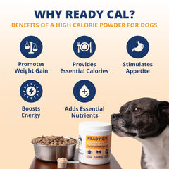 Under the Weather Ready Cal scoop beside powder for measuring daily calories