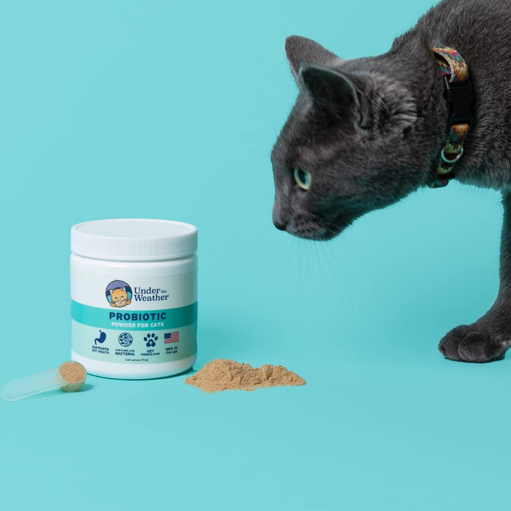 Under the Weather Vet-Formulated Cat Probiotics bottle on shelf for everyday gut health