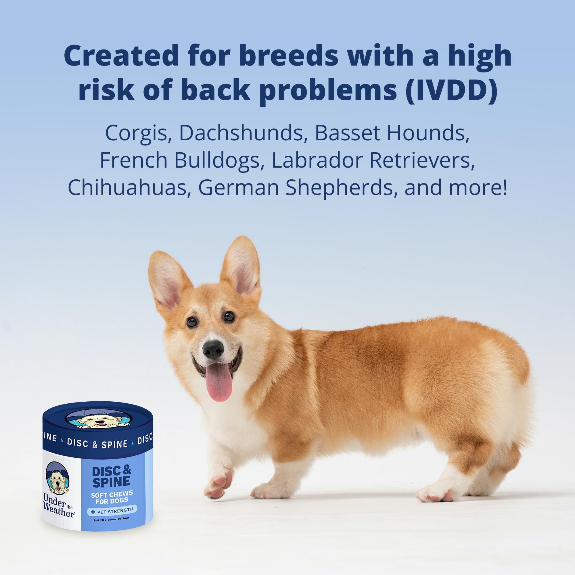 Under the Weather vet-formulated-label signals trusted spine-care for dogs.