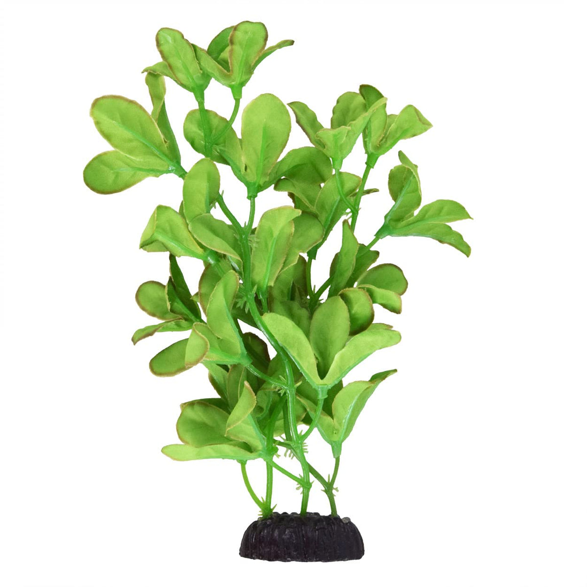 Underwater Treasures Silk Bacopa Monnieri 8in sways, enhancing tank scenery and fish retreat spaces.