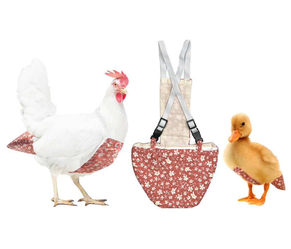Uni Infinity chicken diaper large with strap buckle for secure fit during active pecking
