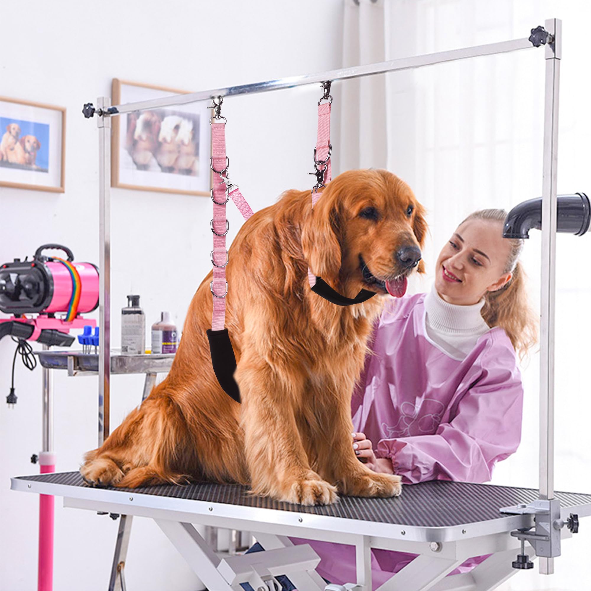 Uni PNR haunch holder keeps dogs in place for efficient washing and brushing.