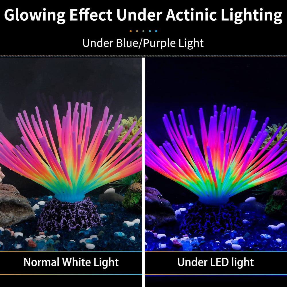 Uniclife aquarium urchin silicone glow under actinic lighting for dynamic display.