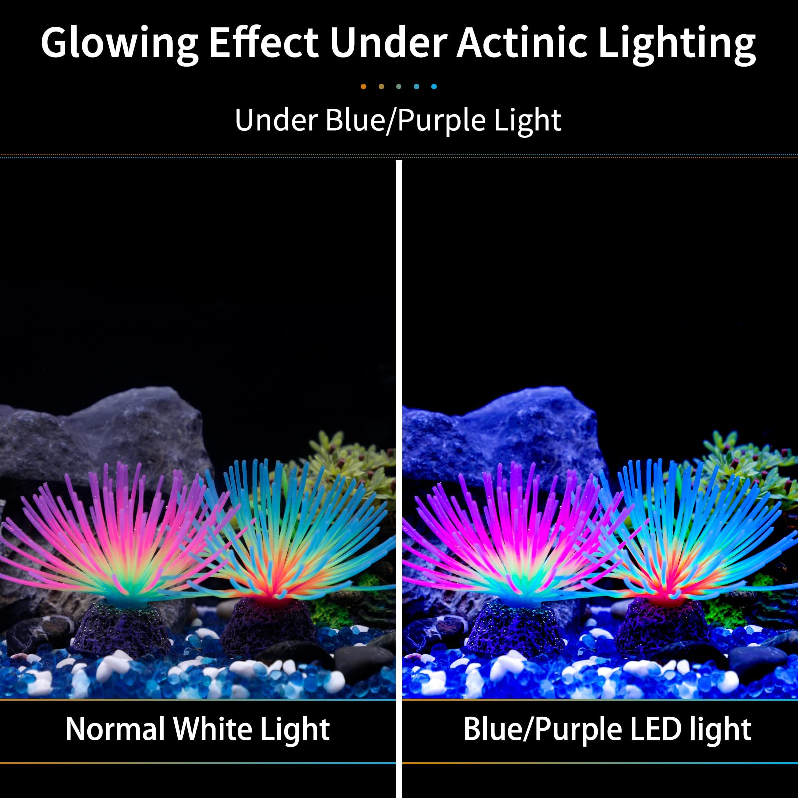 Uniclife glow-under-light decor enhances nighttime viewing in aquariums