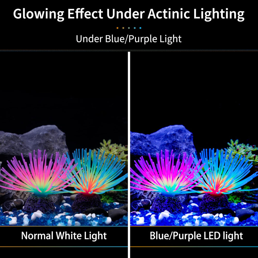 Uniclife glow-under-light decor enhances nighttime viewing in aquariums
