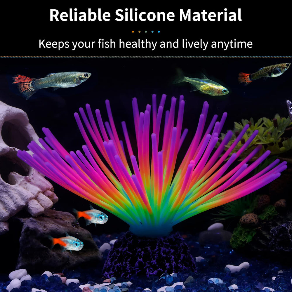 Uniclife rainbow urchin enhances aquarium landscape with colorful depth.