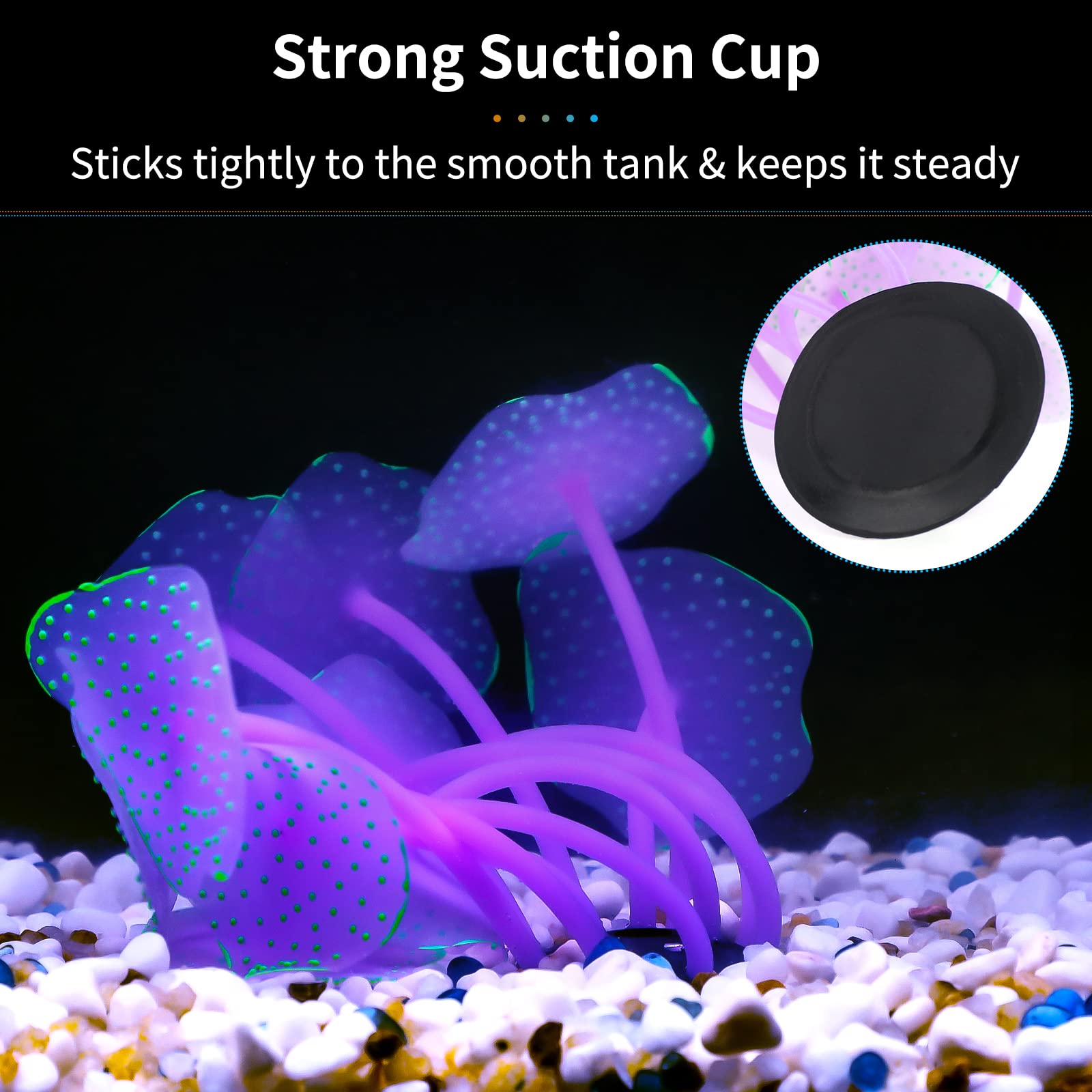 Uniclife suction cup keeps the ornament securely positioned on tank walls.