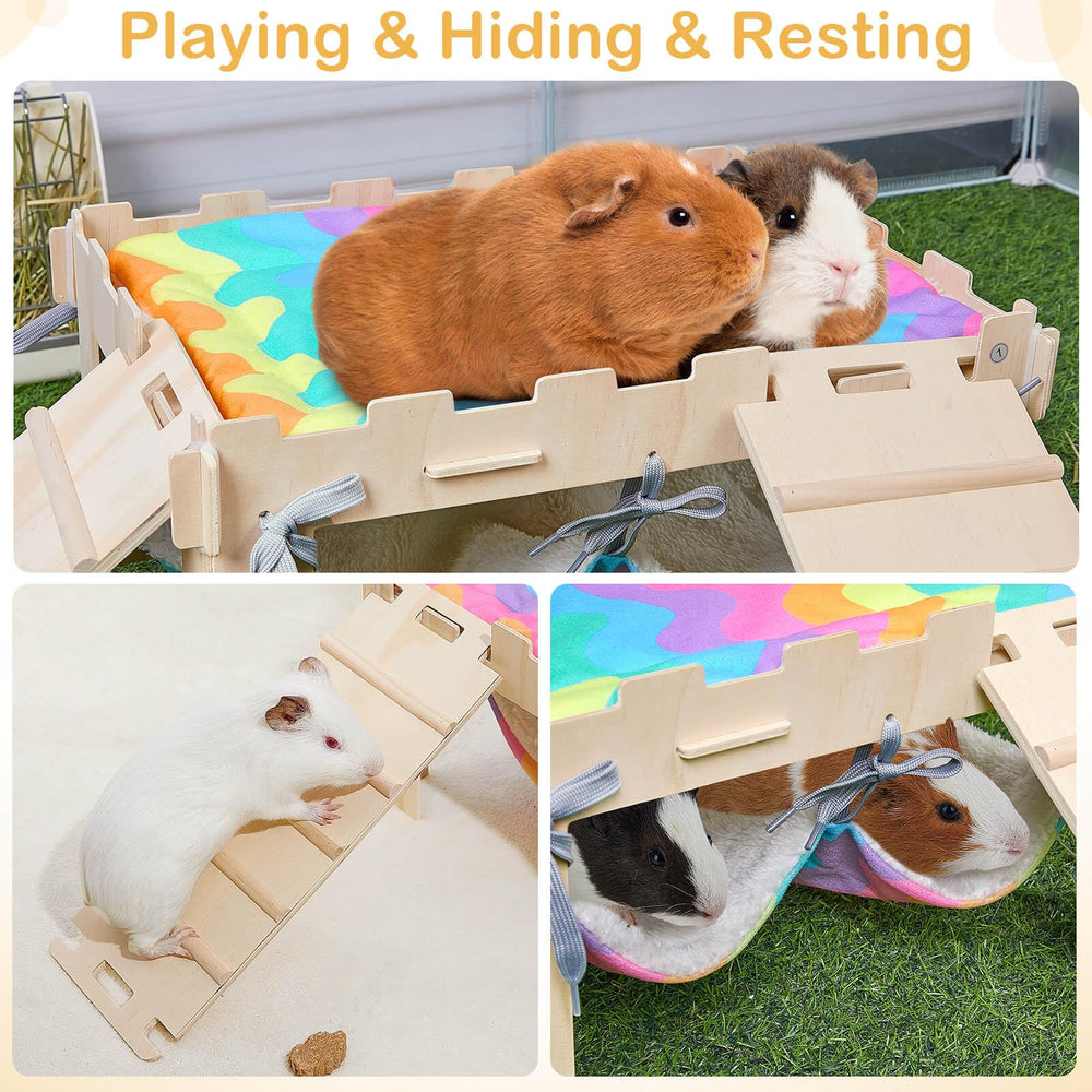 Pine plywood construction offers breathable, pet-safe shelter.