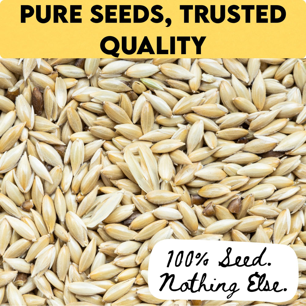 Unida Alpiste seed bag sealed demonstrates freshness preservation