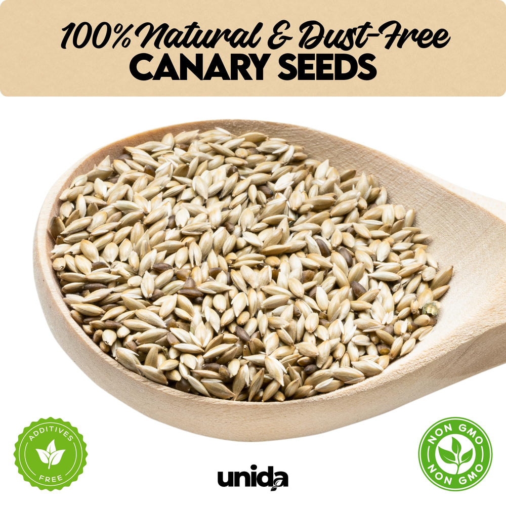 Unida Alpiste seed close-up highlights pure canary seed quality