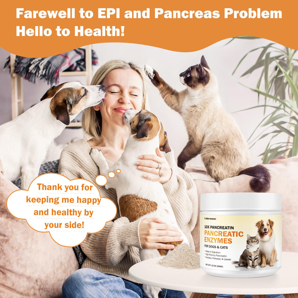 Unipomme Pancreatic Enzymes for Dogs powder being poured into moist food for digestion support